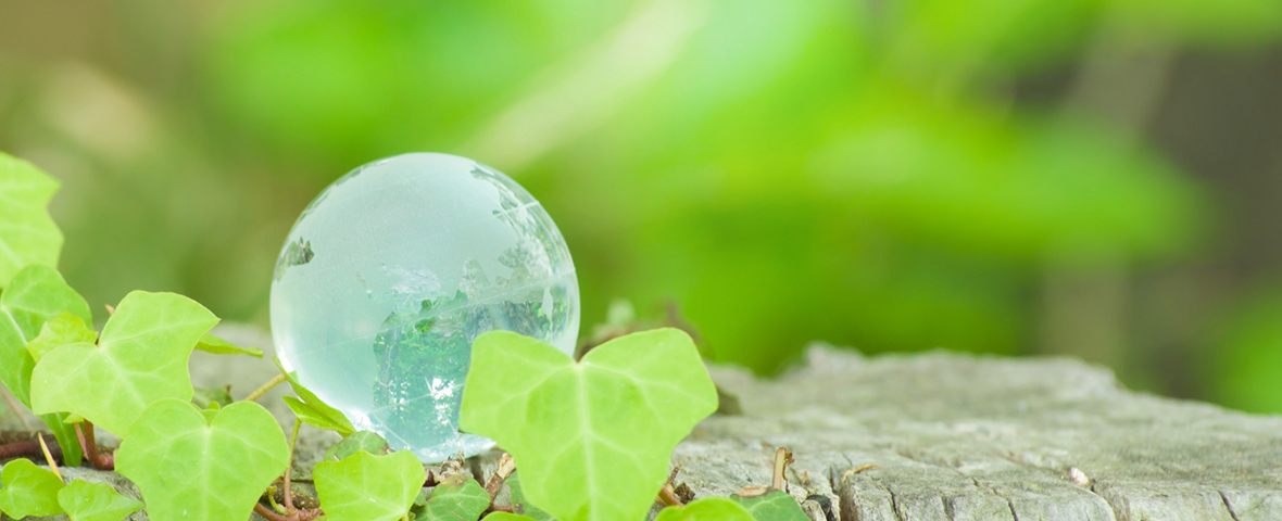 地球・エコのイメージ